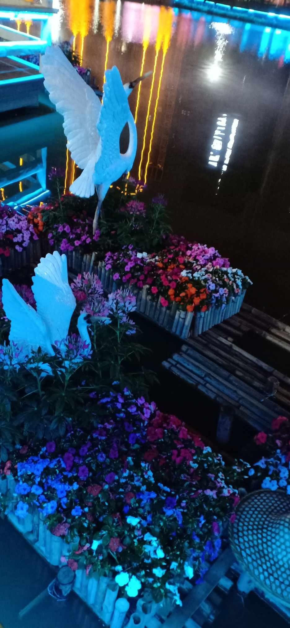 植物大战僵尸反击篇